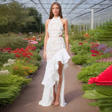 Dadizhimu Banquet Dress Dress 2025 Spring New Famous Embroidered Lotus Leaves Side Of The Body-Cuffed Dress Woman Trendy
