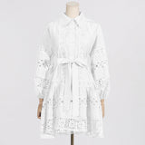 Dadizhimu Tea Rest Elegant Short Dress Women's Dress 2025 Spring New Tice To Collect Waist Thin Dress Women's Advanced Winter