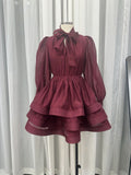 Dadizhimu 2024 New Sexy Long Sleeves With Waisted Butter Bows Layers Of Lotus Leaf-Side Skirt Dress Dress Woman
