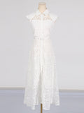 Dadizhimu Temperament High-End Long Dress 2025 Spring New Collar Perspective Hollow Design Slim Dress Woman