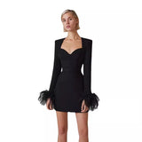 Dadizhimu Explosive High-Quality Women's Dress Long-Sleeved Feathers Tight Bandage Skirt