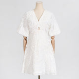 Dadizhimu Short Dress 2025 New V-Neck Embroidery Senior Feeling Waist Thin Short-Sleeved Dress Woman