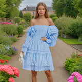 Dadizhimu Fashion Dress Women 2025 Spring New Niche Embroidery High-End Feeling Waist Thin Bra Skirt Tide